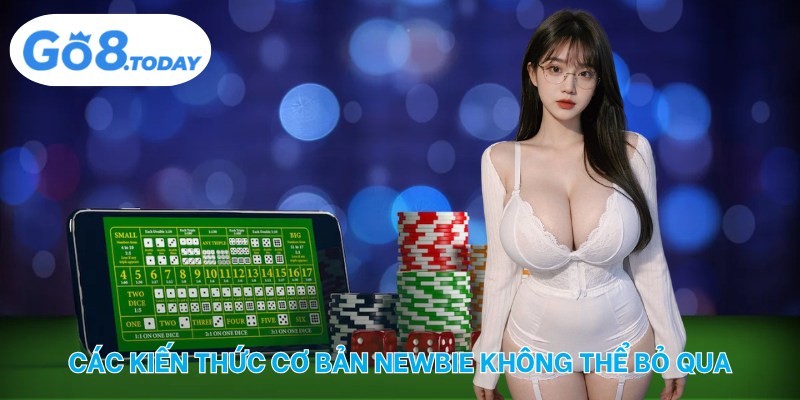 Các kiến thức cơ bản newbie không thể bỏ qua