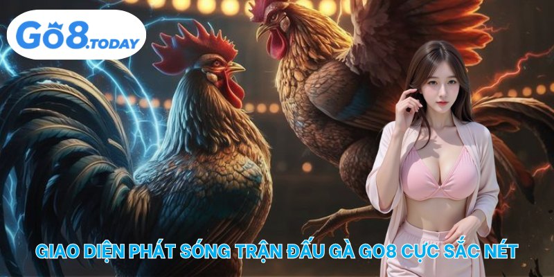 Giao diện phát sóng trận đấu gà Go8 cực sắc nét